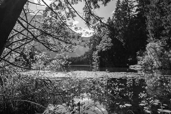 Piburgerovo jezero třináct — Stock fotografie