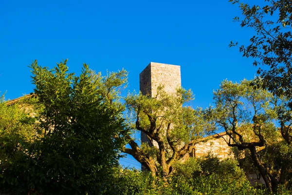 Torre e árvores — Fotografia de Stock