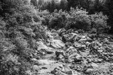 Alp akıntısı siyah beyaz