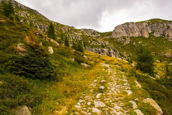 Antica strada asfaltata — Foto Stock