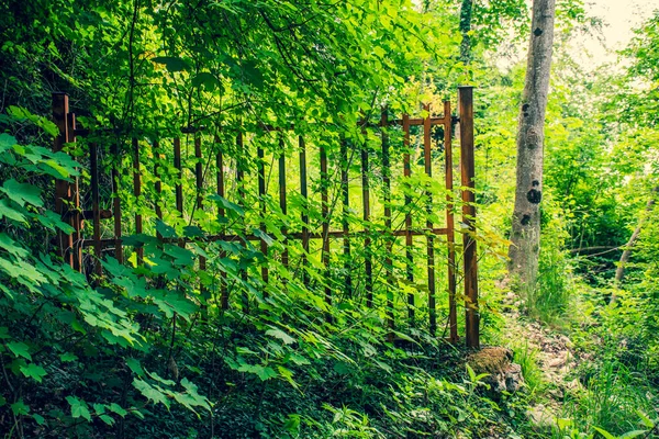 Possagno Treviso Talya Terk Edilmiş Bir Kapı — Stok fotoğraf