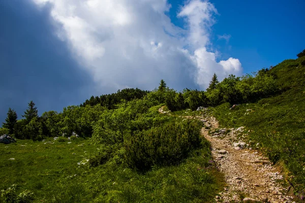 Nuvole Bianche Sulle Cime Delle Prealpi Veneziane Sulla Catena Del — Foto Stock