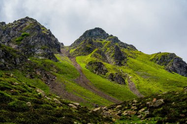 Beyaz bulutlar, mavi gökyüzü, yeşil çayırlar ve bir yaz günü Levico Gölü yakınlarındaki Trentino Alpleri 'ndeki Lagorai' de granit kayalar.