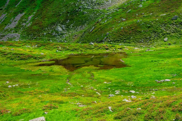 Małe Alpejskie Jezioro Pomiędzy Zielonymi Polami Szarą Granitową Skałą Lagorai — Zdjęcie stockowe