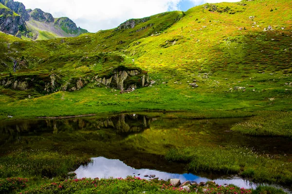 Danau Alpen Kecil Antara Ladang Hijau Dan Batu Granit Abu — Stok Foto