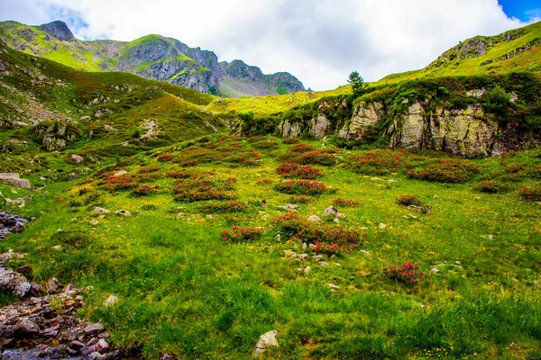 Weiße Wolken Blauer Himmel Grüne Weiden Und Granitfelsen Lagorai Den — Stockfoto