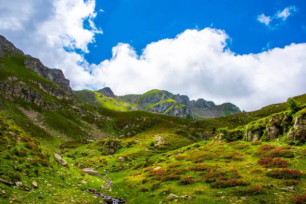 Nuvens Brancas Céu Azul Pastos Verdes Picos Rocha Granito Lagorai — Fotografia de Stock