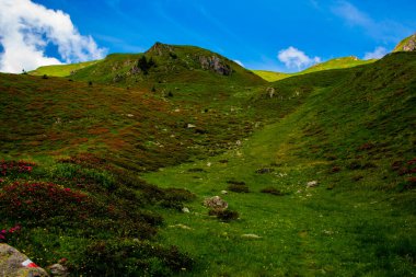 İtalya, Trento 'da Levico Gölü yakınlarında bulutlu gökyüzü olan Lagorai' nin dağlık ve granit kayalıkları arasında yol tırmanıyor.