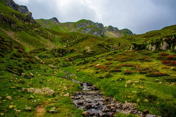 Arroyo Fluye Plácidamente Entre Los Prados Verdes Las Rocas Alpinas — Foto de Stock