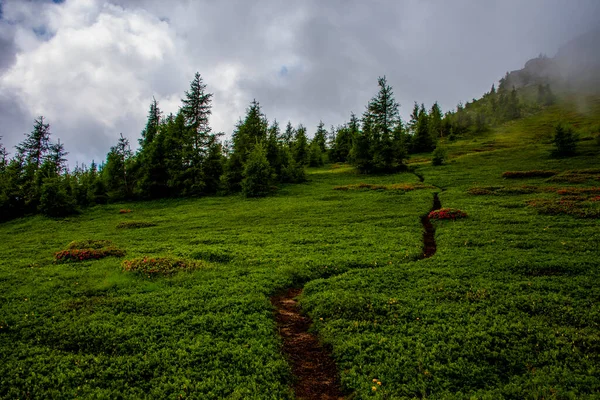 Sentier Monte Entre Les Rochers Alpins Granitiques Lagorai Avec Ciel — Photo