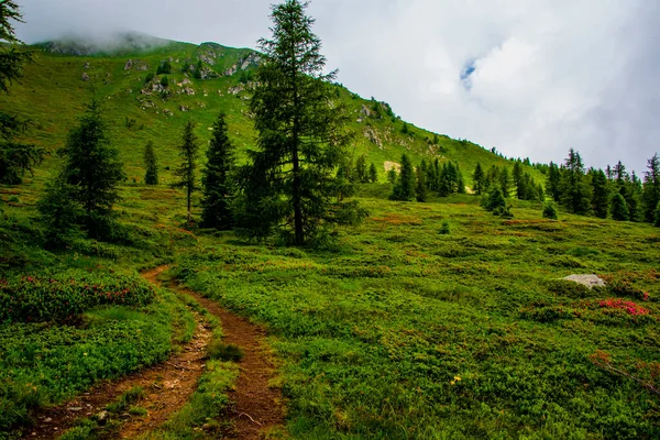 Sentier Monte Entre Les Rochers Alpins Granitiques Lagorai Avec Ciel — Photo