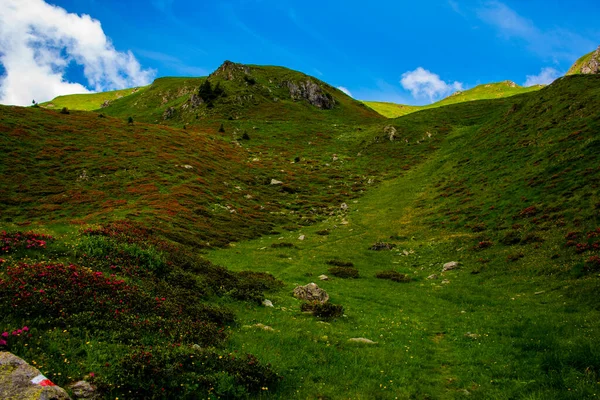 Weg Steigt Zwischen Den Alpinen Und Granitfelsen Von Lagorai Bei — Stockfoto