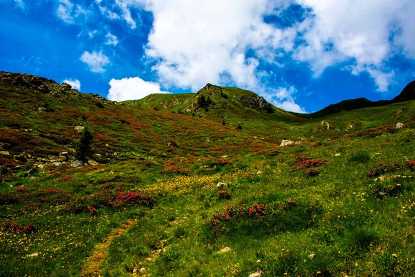 Ścieżka Wspina Się Między Alpejskimi Granitowymi Skałami Lagorai Zachmurzonym Niebem — Zdjęcie stockowe