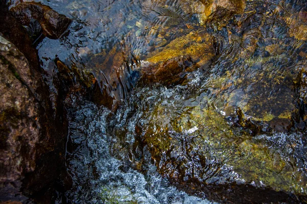 Riacho Flui Placidamente Entre Prados Verdes Sobre Rochas Alpinas Granito — Fotografia de Stock