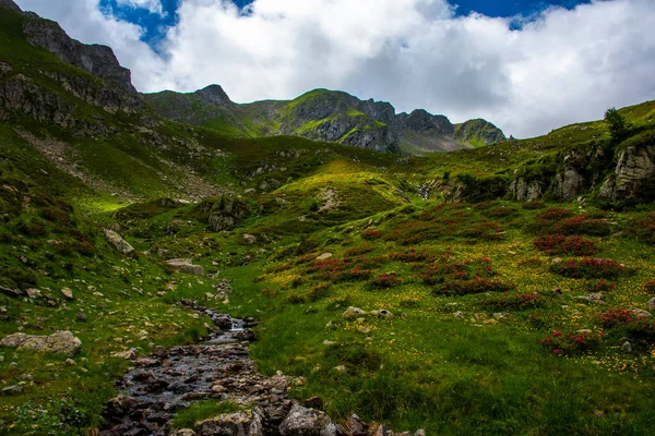 Picos Granito Com Subida Caminho Prados Floridos Verdes Vermelhos Esplêndido — Fotografia de Stock