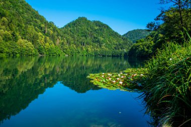 Ağaçlar, İtalya 'nın Trento kentindeki dağlarla birlikte Levico Gölü' ne yansır.