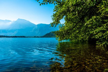 Ağaçlar, İtalya 'nın Trento kentindeki dağlarla birlikte Levico Gölü' ne yansır.