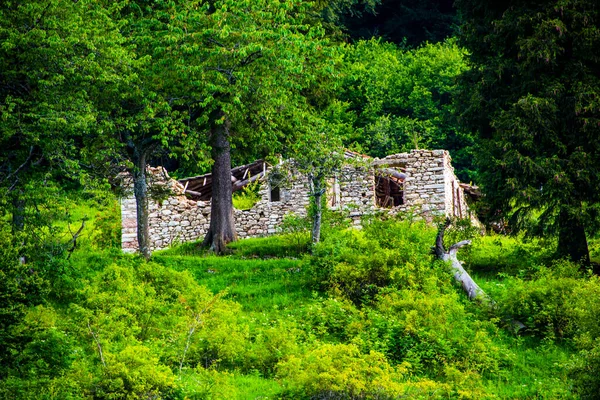 Rovina Una Stalla Alpina Abbandonata Distrutta Nel Bosco Del Monte — Foto Stock