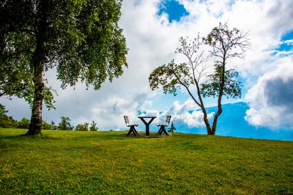 Деревянная Скамейка Внушительной Панорамой Грозными Облаками Одинокими Деревьями Зелеными Лугами — стоковое фото