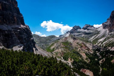Belluno, Veneto, İtalya 'daki Cortina D' ampezzo 'nun Dolomitleri' ndeki çayırlara giden yeşil çam ağaçları arka planı oluşturur.