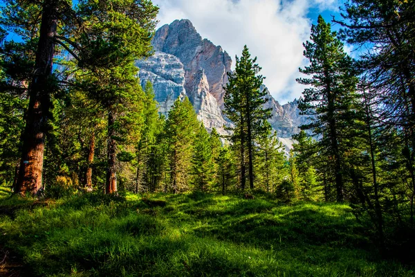 Belluno Veneto Talya Daki Cortina Ampezzo Nun Dolomitleri Ndeki Çayırlara — Stok fotoğraf