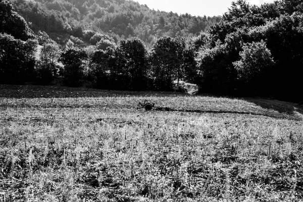 Чорно Біла Фотографія Покинутого Сільськогосподарського Транспортного Засобу Середині Напівплитного Поля — стокове фото