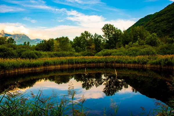 İtalya 'nın Bolzano bölgesindeki Caldaro Gölü' nün yumuşak sularına ağaçlar yansıyor.