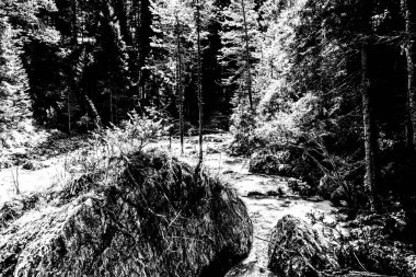 Cortina D 'Ampezzo, Belluno, İtalya vadilerindeki kayalar arasında sel gibi akıyor.