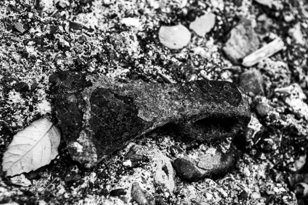 Kleine Roestige Bijl Uit Tijd Die Doet Denken Aan Oude — Stockfoto