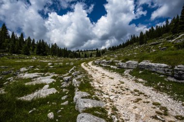 Kayalık dağ yolu, kozalaklı ormanlar ve bulutlu gökyüzü ile dağlık çayırlarda kıvrılıyor. Seyahat, yürüyüş, macera ve bozulmamış yaban hayatı kavramı.
