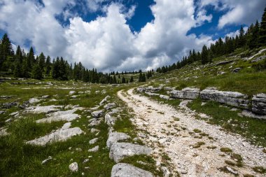 Kayalık dağ yolu çam ormanları ve bulutlu gökyüzü ile dağlık çayırlarda dönüyor. Yürüyüş, seyahat, vahşi doğa ve sembolik doğa yolculuğu kavramı.