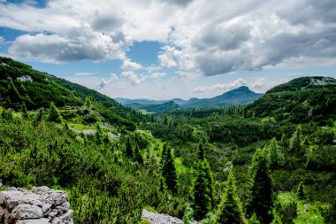 Panoramic mountain view of Asiago with pine forest, rocky slopes and cloudy sky. Concept of wilderness, eco tourism, hiking and unspoiled Italian Alps landscape.