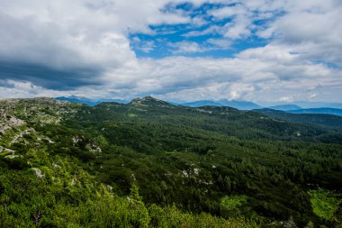 Panoramic mountain landscape in Asiago with dense forest, rocky slopes and cloudy sky. Concept of wilderness, eco tourism, hiking and unspoiled Italian Alps scenery.