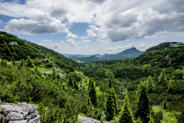 Panoramic mountain view of Asiago with pine forest, rocky slopes and cloudy sky. Concept of wilderness, eco tourism, hiking and unspoiled Italian Alps landscape.