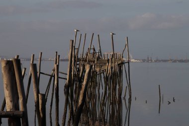 Carrasqueira içinde Stilt iskele