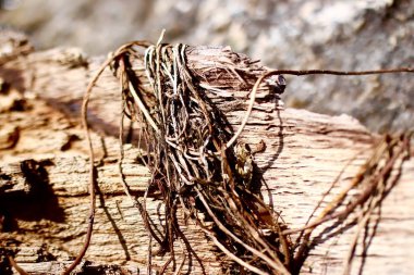 Bir tahta parçasına tel örülmüş.