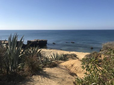 Portekiz sahil ilü mavi