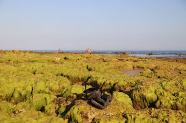 Liken ile kayalar üzerinde Sandalet