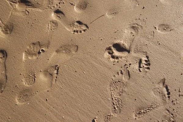 Footprints of different sizes
