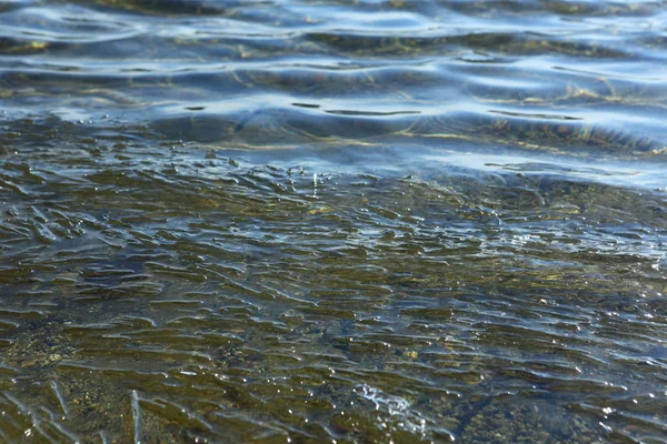 Remaining Pieces Ice Floating Water — Stock Photo, Image