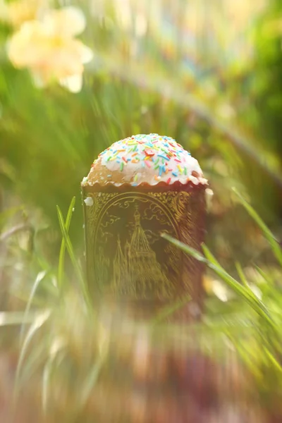 太陽の下で新鮮な春の草の中のイースターケーキ — ストック写真