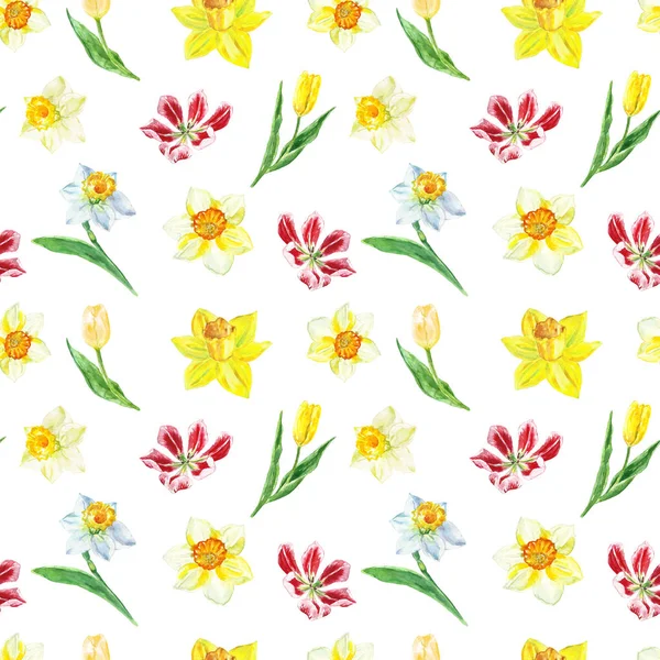 Watercolor floral seamless pattern with yellow narcissus and tulips on white background. Bright botanical print. — Stock Photo, Image