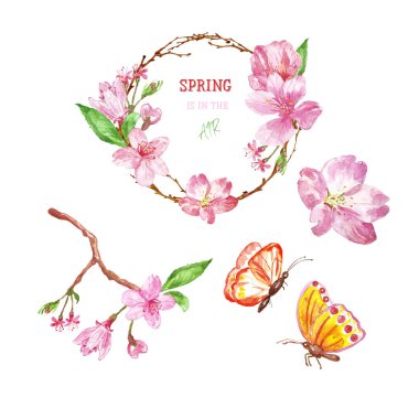 Kiraz çiçeği, sakura ağacı çelenk ve butterlies, beyaz arka plan üzerinde izole ile suluboya bahar çiçek seti.