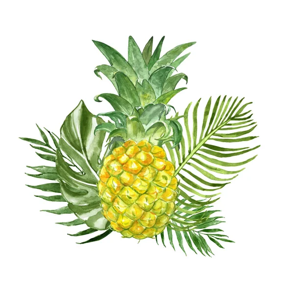 Літня композиція з екзотичними тропічними рослинами та свіжим ананасом, ізольована на білому тлі. акварельна ілюстрація . — стокове фото