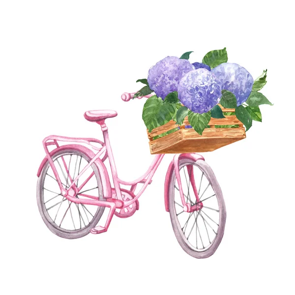 Ilustração de jardim de pátio de verão com bicicleta rosa e flores de hortênsia roxas em uma cesta de madeira. Ilustração aquarela . — Fotografia de Stock