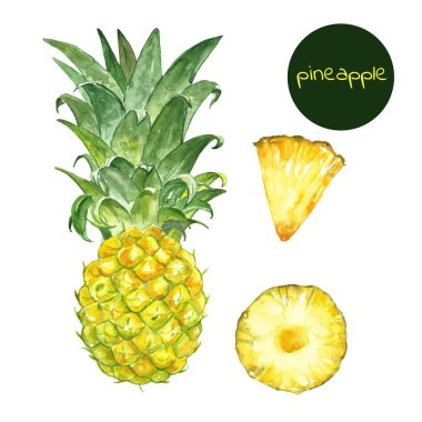 Suluboya egzotik meyve seti. El boyalı olgun paineapple, beyaz arka plan üzerinde izole. Yaz sulu meyveler.