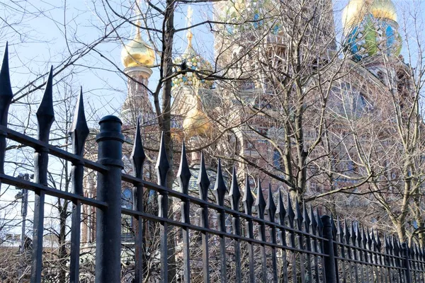 St Petersburg, Rusya park ağaçları aracılığıyla Kan Kurtarıcı Katedrali Silueti.
