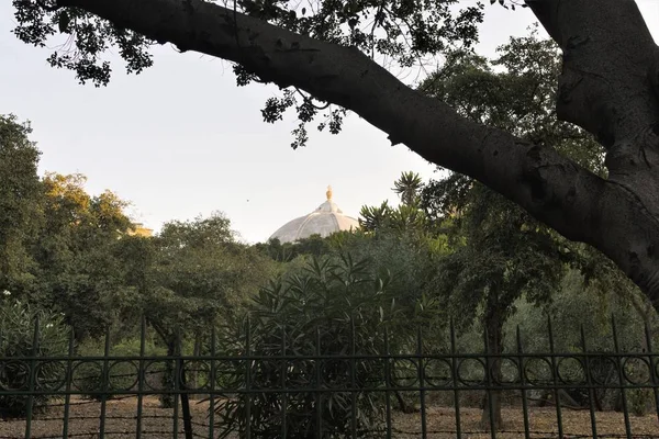Floriana, Malta, Ağustos 2019. Kale duvarına ve eski katedralin kubbesine yakın bitkiler..
