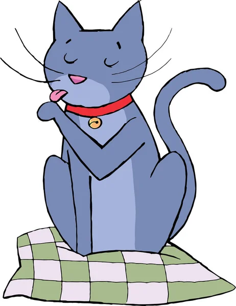 kedi bir yastık ve dudakları ayakları oturur