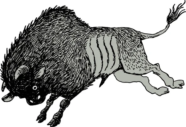 Taureau Colère Dans Course — Image vectorielle